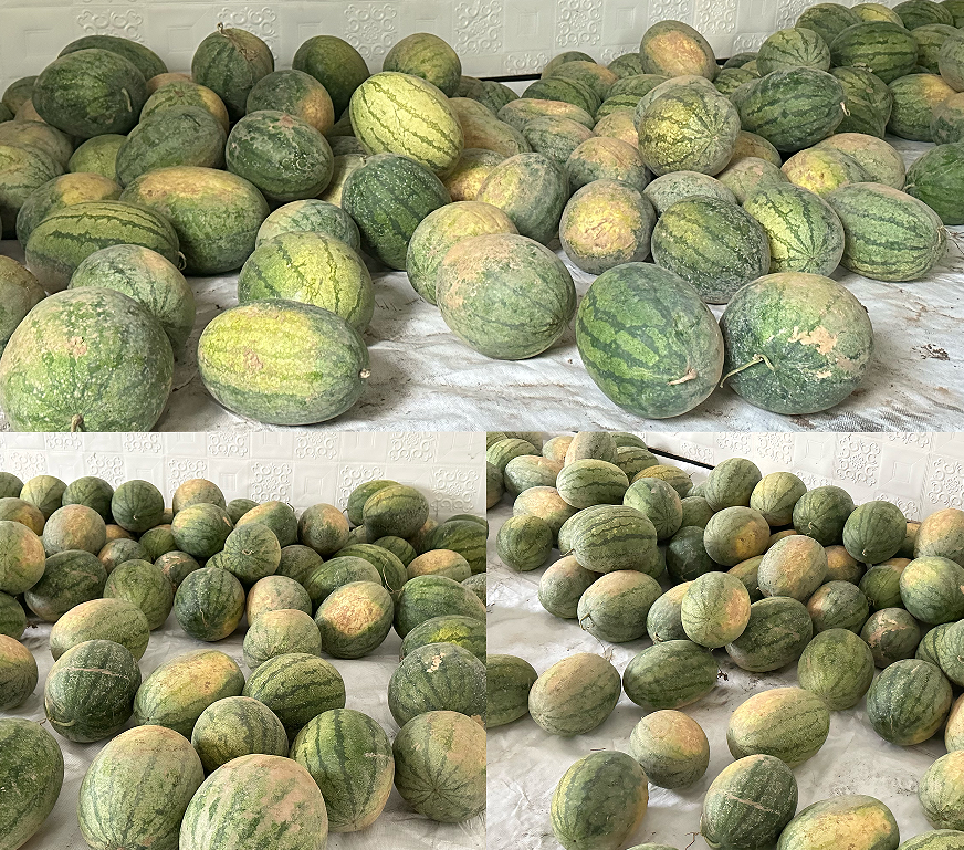 1750840224815718.png 1750840224815718.png